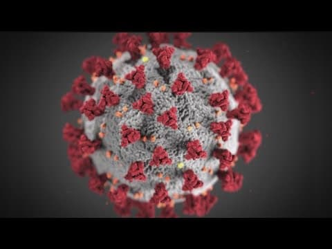 President Biden testing positive for COVID has sparked questions and misinformation online