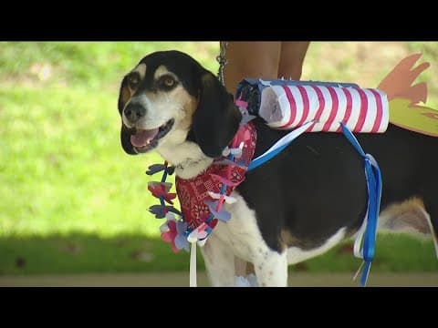 Around San Diego | How patriots went inland to celebrate America's birthday