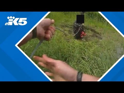 Deputy lassos suspect in Pierce County