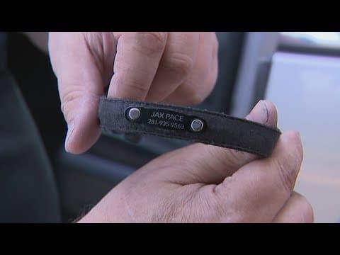 'He was a good dog' | Missouri City veteran rebuilding after losing everything in house fire