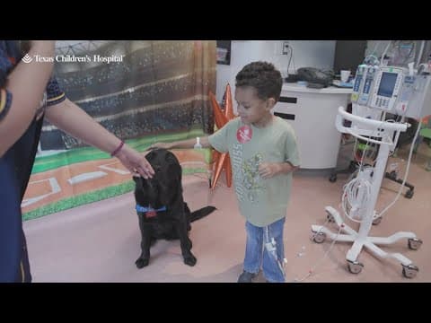 New support dogs join pediatric ICU and heart center at Texas Children's Hospital