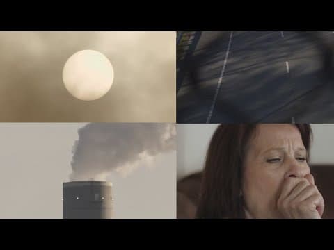 Study reveals air pollution negatively impacts children's health