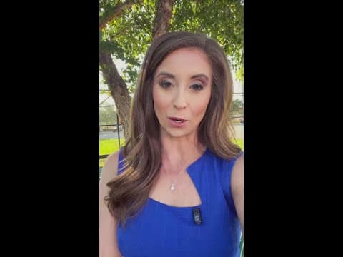 Update on fall foliage