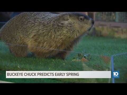 Buckeye Chuck makes Groundhog Day prediction