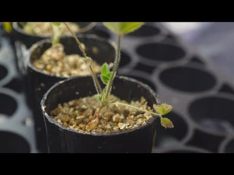 Salk Institute's elite summer program cultivates next generation of climate researchers