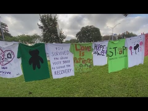 Texas lawmakers seek to protect survivors of domestic violence