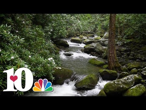 Nature Sounds: Thunderhead Prong Quiet Walkway