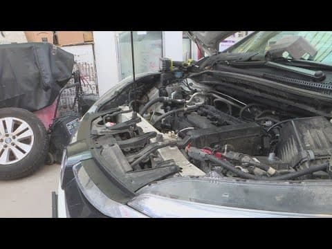 Yes, rats can damage your car during cold weather