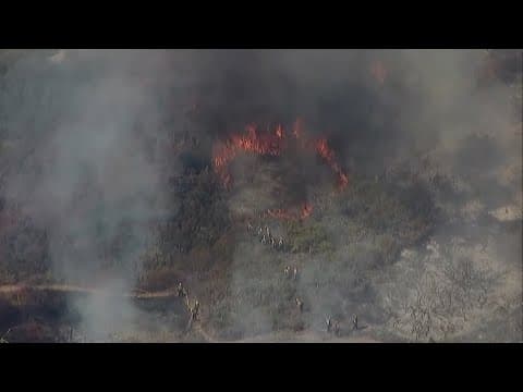 Fire crews battle a Del Mar brush fire from the air and on the ground