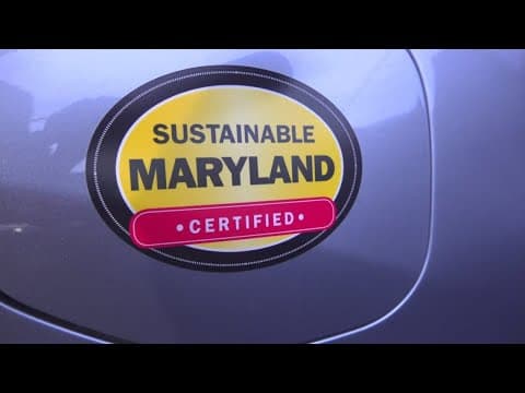 Forest Heights: A small town that's leading the way in sustainability | ECO9