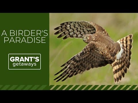 Ankeny Wildlife Refuge is a birder's paradise