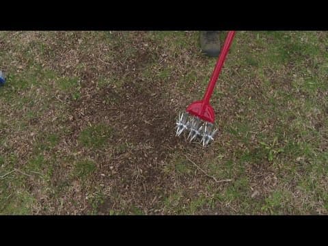 Pat Sullivan's tips for planting grass seeds
