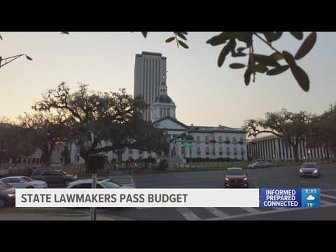 Florida lawmakers vote to approve $115 billion state budget after weeks of delays