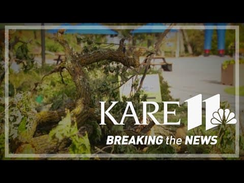 Beltrami County estimates 9 million trees were taken down by June storm