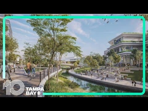 Supporters of Rays redevelopment in St. Pete say team is 'here to stay'