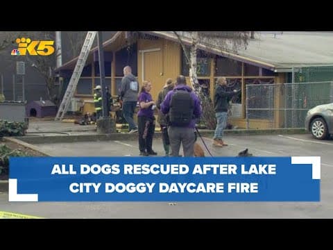 All dogs rescued after Seattle doggy daycare fire