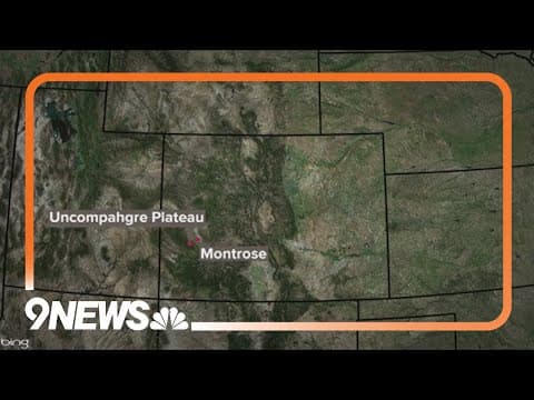 Nearly 200 cattle missing from southwest Colorado