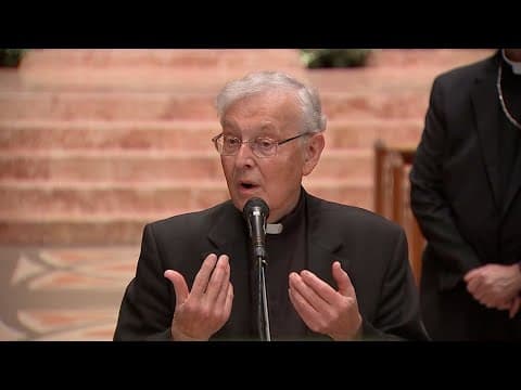 Pope Leo XIV | Father Gregory Sakowicz from Chicago comments on new pope