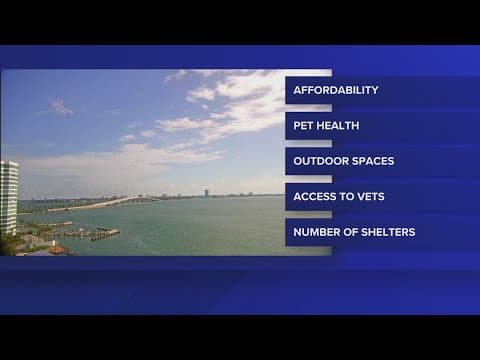 STUDY: Tampa ranked in top 5 most pet-friendly cities in US