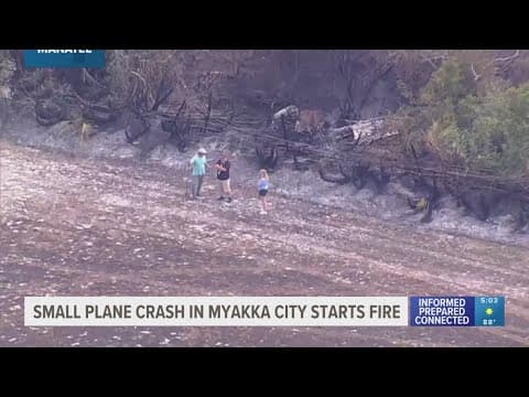Small plane crash causes brush fire in Myakka City