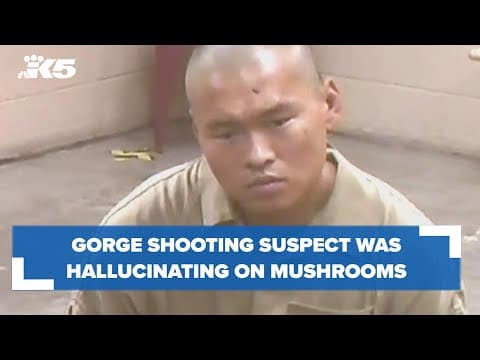 Gorge shooting suspect was hallucinating on mushrooms, documents say