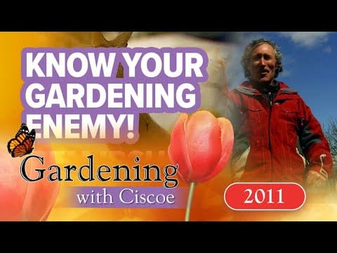 Know your gardening enemy! | Gardening with Ciscoe | Full Episode