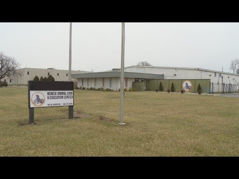 Muncie Animal Care and Services forced to freeze intake