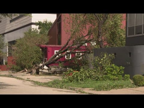 Looking at damage in the Upper Kirby area of Houston from Tropical Storm Beryl