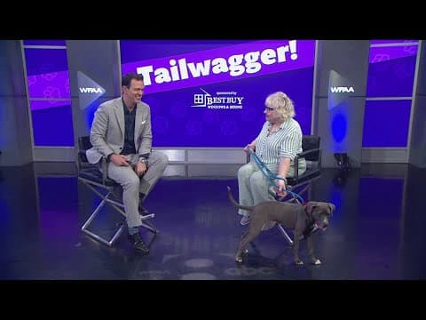 Tailwaggers: Meet Leah