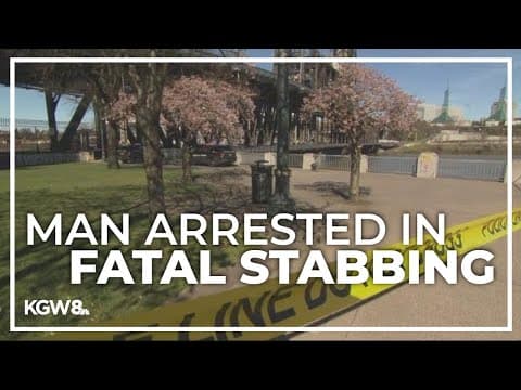 Man arrested in fatal stabbing incident on Steel Bridge Friday
