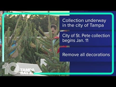 How to get rid of your Christmas tree across Tampa Bay