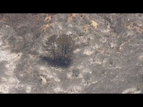 Above Del Mar one day after brush fire erupted