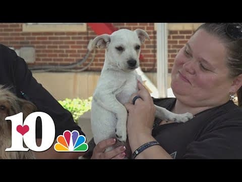 Dog adopted after being dumped on Cocke County road