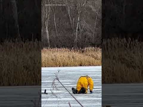 This buck survived deer hunting season only to have a close call on thin ice.