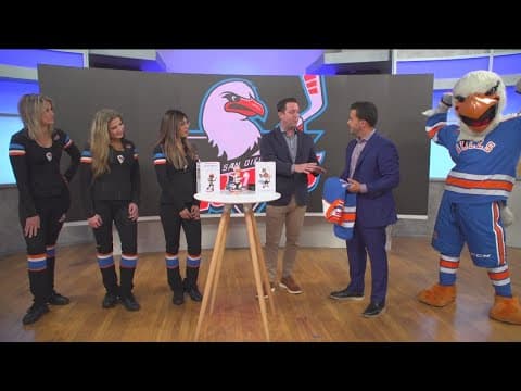 San Diego Gulls Fan Appreciation Night on April 8