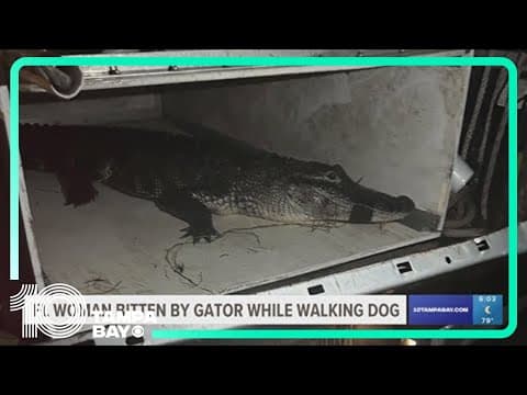 84-year-old Florida woman bit by an alligator