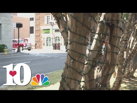 Knoxville crews wrapping trees in holiday lights, will continue decorating into November