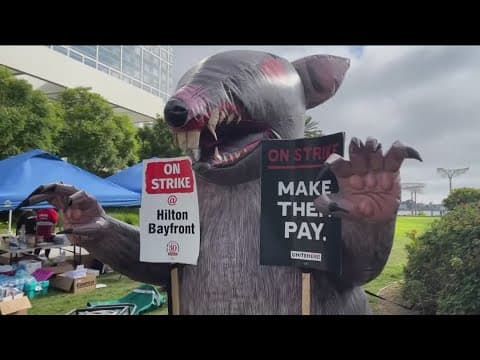 San Diego joins national hotel housekeeper strike