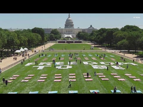 250 quilts line National Mall, honoring trans community