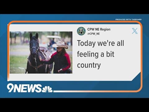 Beyonce's first country album is out, and everyone is talking about it