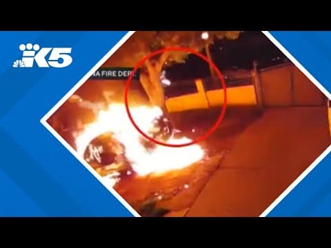 WATCH: Arsonist sets himself on fire while torching car