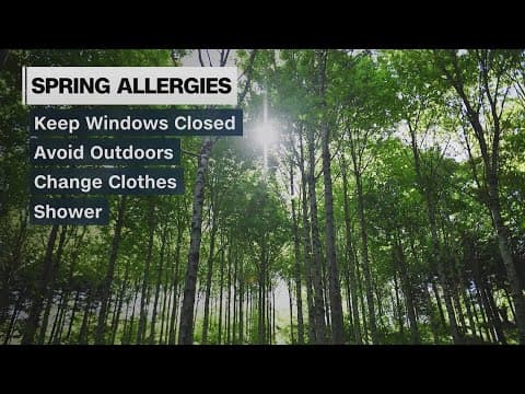 How to battle spring allergies