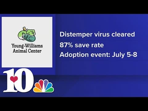 Young-Williams Animal Center officially reaches zero distemper cases