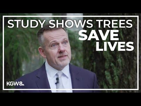 Study shows Portland's trees are likely saving as many as 15 lives per year