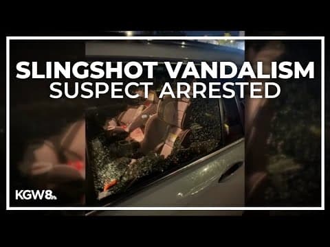 Police: Forest Grove man was shooting car windows with slingshot