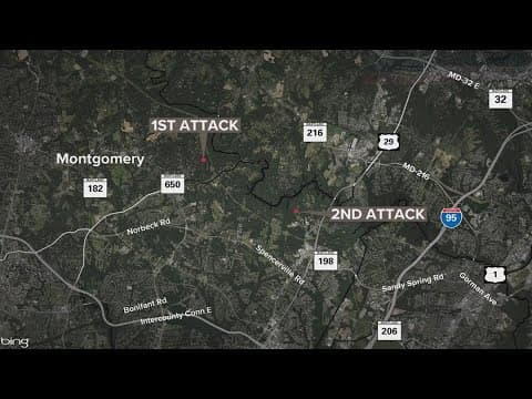 Coyote responsible for 2 attacks tests positive for rabies