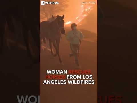 Woman rescues horses from Los Angeles wildfires