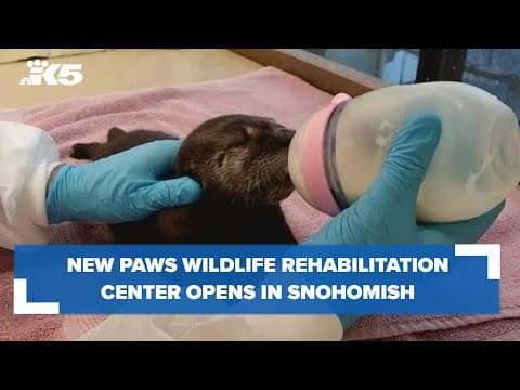 New PAWS Wildlife Rehabilitation Center opens in Snohomish