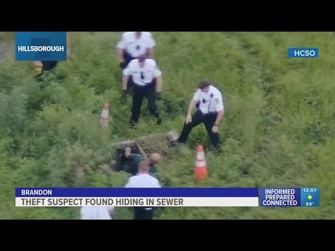 'Nowhere to run': Hillsborough sheriff's drone tracks down theft suspect hiding in sewer