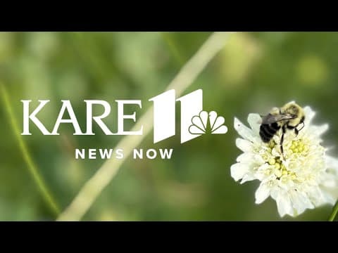 KARE 11 News Now Weather | Morning Edition - July 31